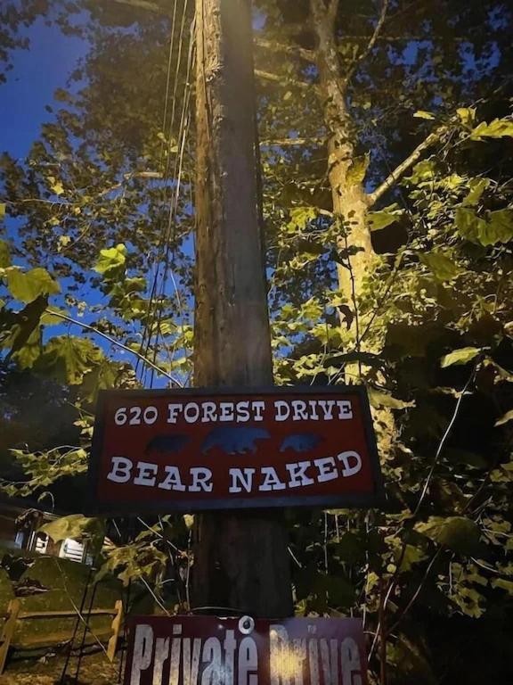 Willa Bear Nakid Pigeon Forge Zewnętrze zdjęcie